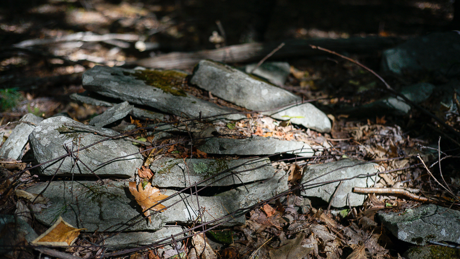cluett-beating-the-bounds-wavefarm-2
