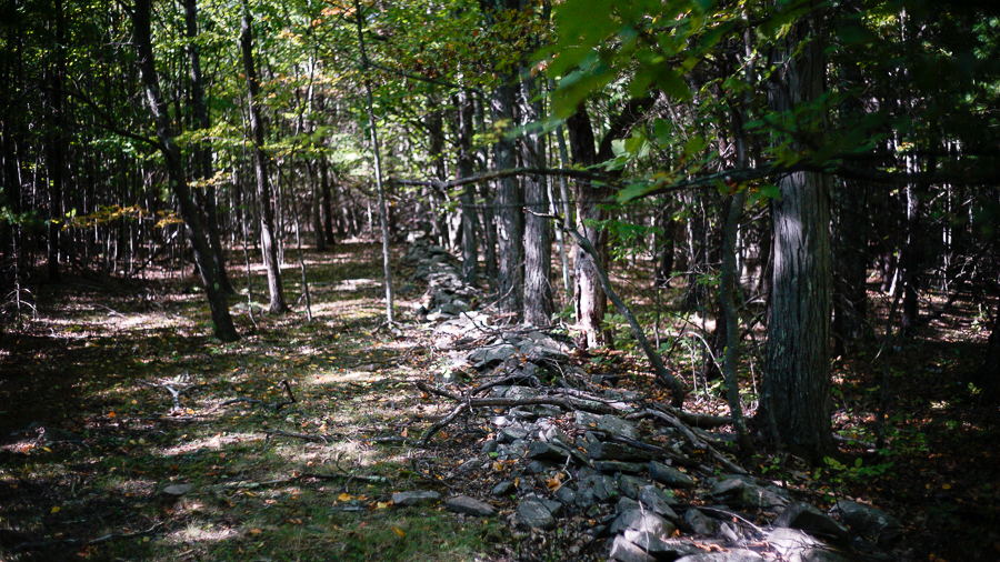 cluett-beating-the-bounds-wavefarm-3